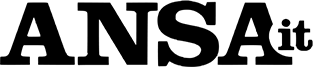 ansa prova